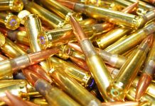 Des «balles vertes» toxiques? La question des munitions au tungstène