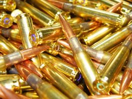 Des «balles vertes» toxiques? La question des munitions au tungstène