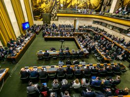 Transparence et désarmement nucléaire