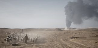 Irak environnement conflit