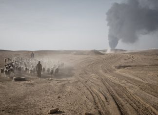 Irak environnement conflit