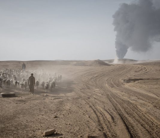 Irak environnement conflit