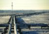 La dimension énergétique de la guerre d’Ukraine