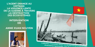 L’ Agent orange au Vietnam: la violence lente de la guerre à travers la destruction des écosystèmes (vidéo)