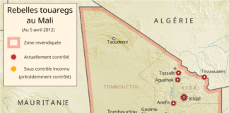 Il y a une généralisation du recours au drone en Afrique (RFI)