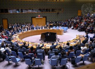 La résolution 2803 (2025) du Conseil de sécurité des Nations unies : les conditions d’une paix à Gaza imposée aux Palestiniens ?